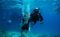 Scuba Diving