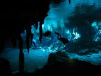 Scuba Diving