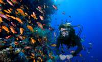 Snorkel To Isla Mujeres