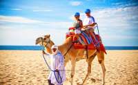 Outback & Camel Safari
