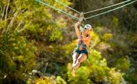 Outdoor Zip Line Adventure